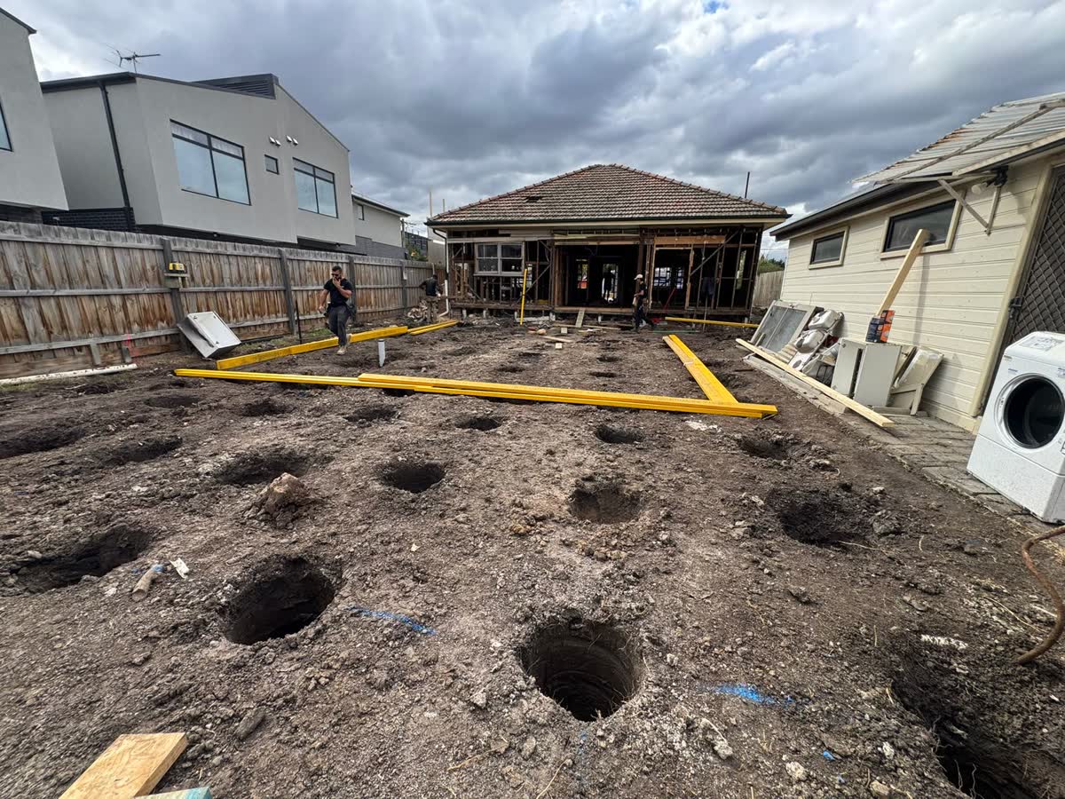 Back yard with rows of stump holes dug behind an old house